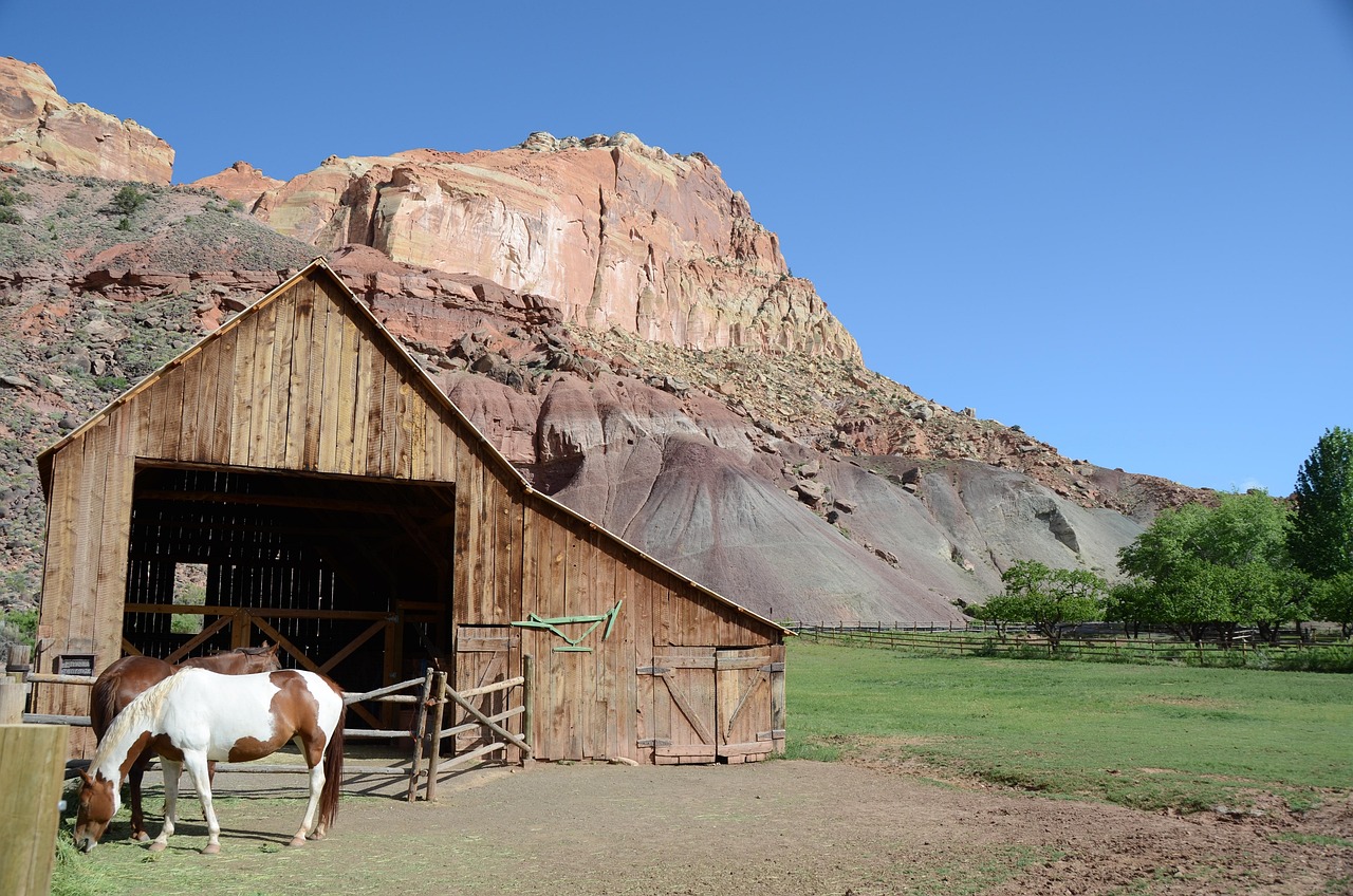 Amerika Fly drive rondreis Canyon Adventure 3